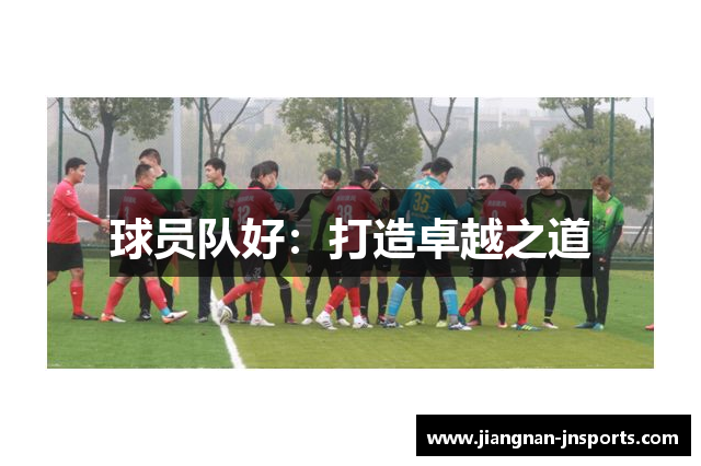 球员队好：打造卓越之道