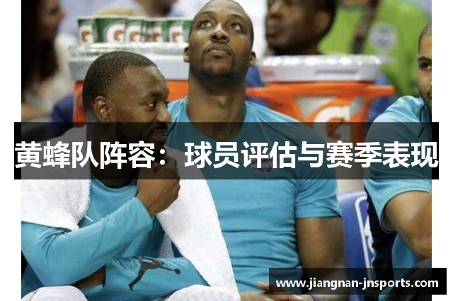 黄蜂队阵容：球员评估与赛季表现
